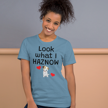 Load image into Gallery viewer, Look What I Haznow T-Shirts - Light