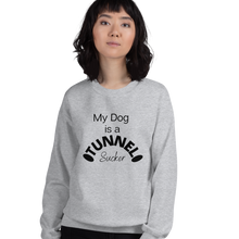 Load image into Gallery viewer, Tunnel Sucker Sweatshirts - Light