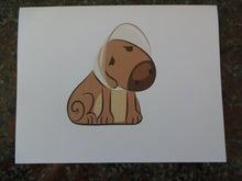 Load image into Gallery viewer, Dog in Cone Get Well Cards