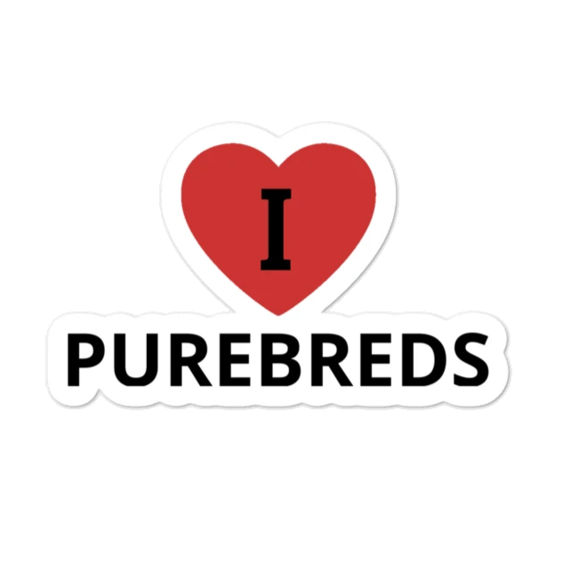 I in Heart Purebreds Conformation Stickers-4x4 or 5.5x5.5