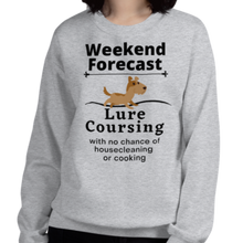 Load image into Gallery viewer, Lure Coursing Weekend Forecast Sweatshirts - Light