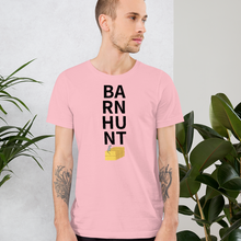 Load image into Gallery viewer, Stacked Barn Hunt T-Shirts - Light