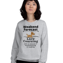 Load image into Gallery viewer, Lure Coursing Weekend Forecast Sweatshirts - Light
