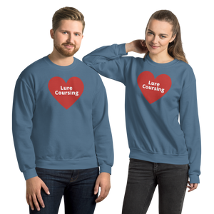 Lure Coursing in Heart Sweatshirts