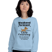 Load image into Gallery viewer, Lure Coursing Weekend Forecast Sweatshirts - Light
