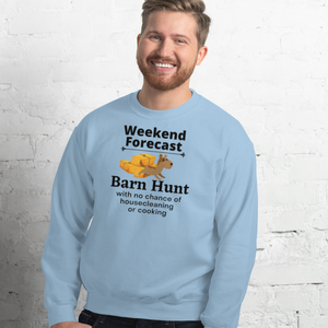 Barn Hunt Weekend Forecast Sweatshirts - Light