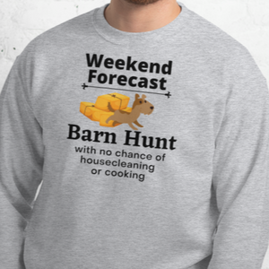 Barn Hunt Weekend Forecast Sweatshirts - Light