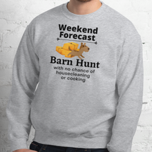 Load image into Gallery viewer, Barn Hunt Weekend Forecast Sweatshirts - Light
