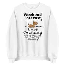 Load image into Gallery viewer, Lure Coursing Weekend Forecast Sweatshirts - Light
