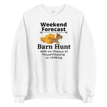 Load image into Gallery viewer, Barn Hunt Weekend Forecast Sweatshirts - Light
