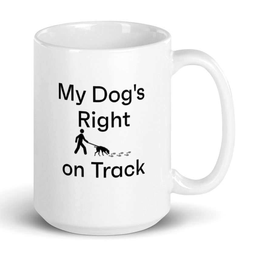 Right on Track Mug